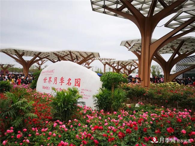 4月9日起，南陽世界月季大觀園開門迎客(圖2)