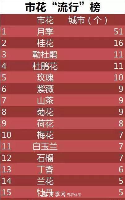 中國各城市市花大集合！月季是51個城市市花具首位(圖3)