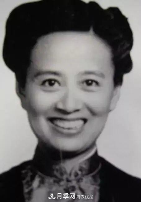 月季夫人蔣恩鈿，是她把月季花種到了人民大會堂(圖2)