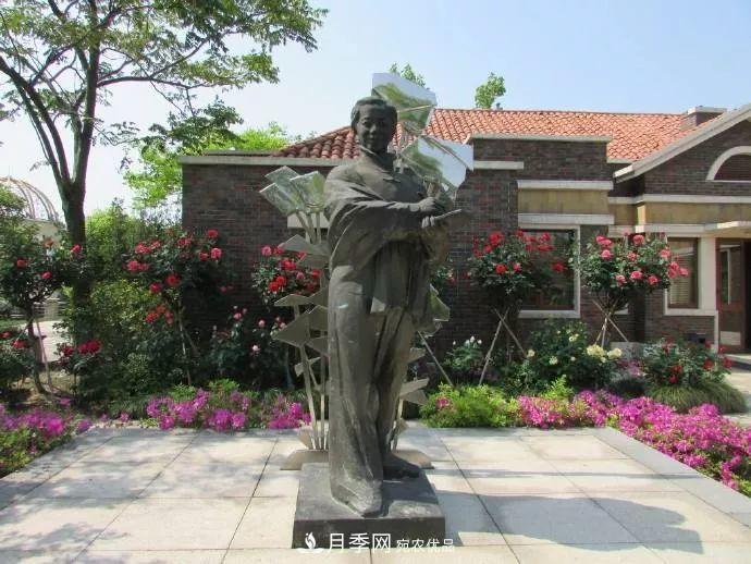 月季夫人蔣恩鈿，是她把月季花種到了人民大會堂(圖7)
