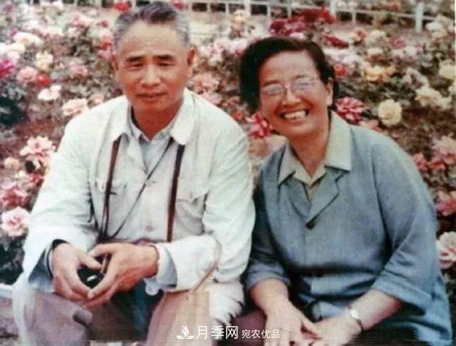月季夫人蔣恩鈿，是她把月季花種到了人民大會堂(圖5)