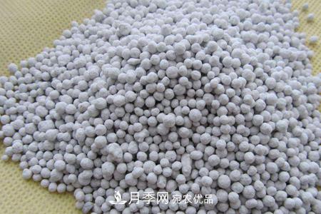 養(yǎng)護(hù)月季花施肥施什么肥料？(圖1)