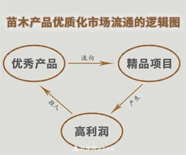 苗木產(chǎn)品的價(jià)格、價(jià)值和供需——三角關(guān)系之動(dòng)態(tài)平衡(圖5)