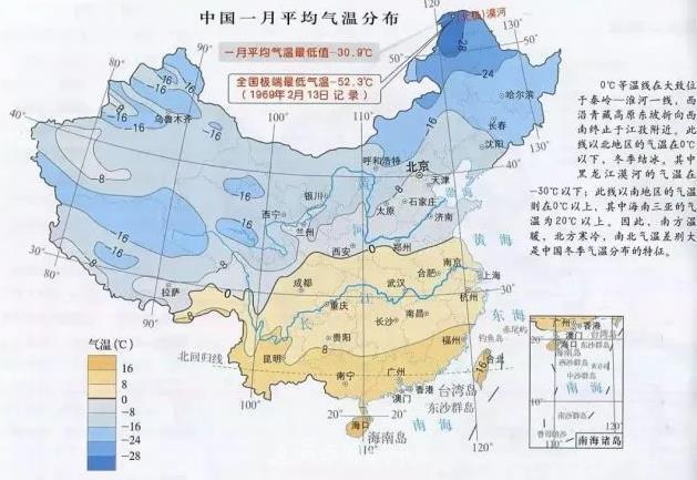 北方南方養(yǎng)護(hù)月季重點(diǎn)有什么不同？不用討論了(圖2)