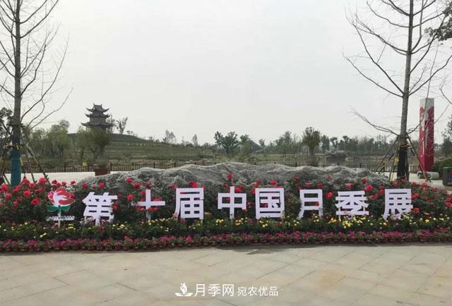 第十屆中國(guó)月季展覽會(huì)，南陽(yáng)園和鄭州園亮相(圖1)