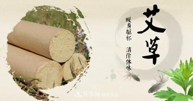 南陽(yáng)仲景艾草產(chǎn)業(yè)占全國(guó)70%份額，年產(chǎn)值10億元，叫響世界？(圖1)
