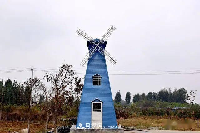 山東滕州北辛街道建成一座月季花海，總占地100畝真漂亮！(圖11)