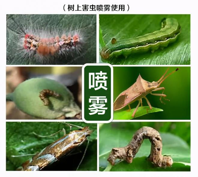 8種花木常用農(nóng)藥介紹，價格便宜效果很好(圖3)