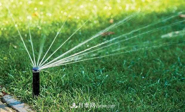 如何延長(zhǎng)綠化草坪綠期，提高園林觀賞價(jià)值(圖1)