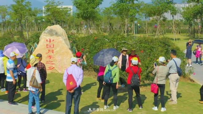 立冬已過，小雪將至~ 肇慶新區(qū)月季園景色獨(dú)好、風(fēng)光別致(圖3)
