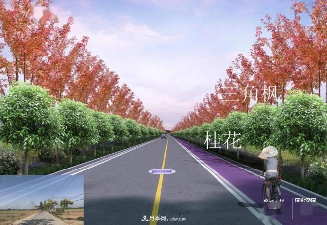 襄陽樊城區(qū)景觀“一號公路”下個月通車，顏值驚人！(圖5)