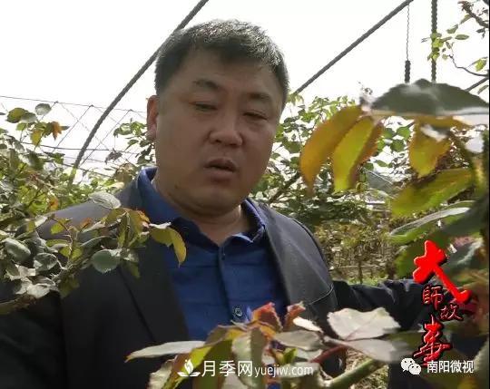 南陽月季大師——王超(圖1)