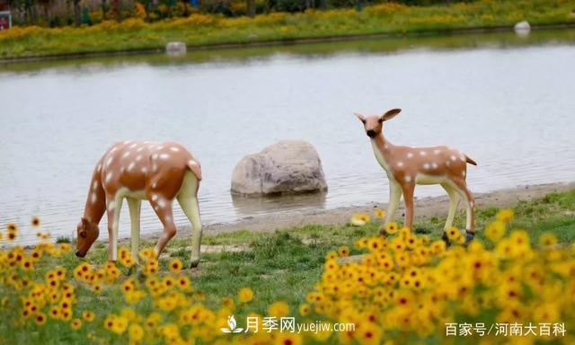 許昌投資2.9億多元，30個(gè)園林綠化項(xiàng)目讓許昌更美！(圖3)