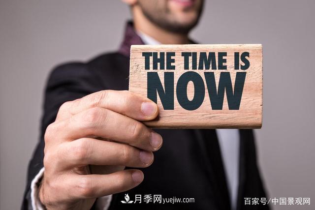 “站在風口上，豬都能飛起來！”園林苗木行業(yè)的下一個風口在哪？(圖1)