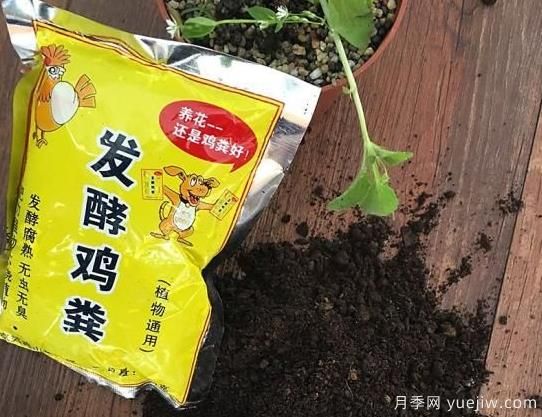 花卉綠植常用三大花肥分析，有機肥、無機肥、發(fā)酵各種糞(圖1)