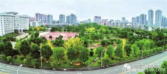 百萬月季進(jìn)城，南陽全力以赴創(chuàng)建國家生態(tài)園林城市(圖3)