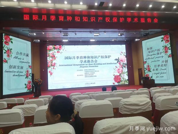 國際月季育種和知識產(chǎn)權保護座談會在南陽舉辦(圖1)