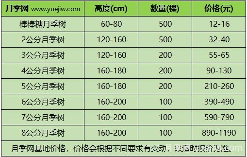 2024年不同規(guī)格月季樹(shù)多少錢(qián)一棵？樹(shù)狀月季價(jià)格表？(圖3)