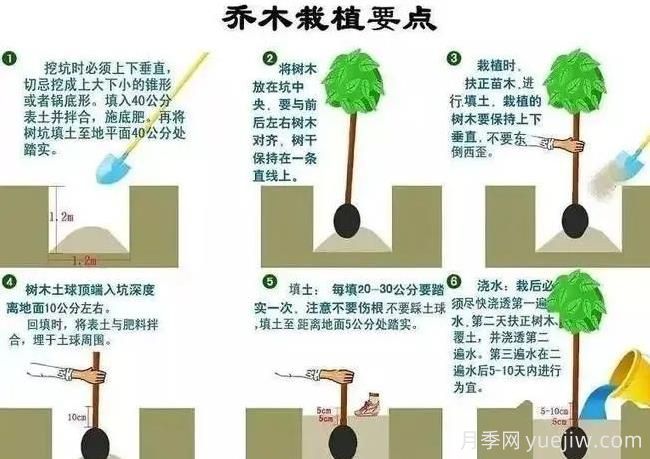 秋冬季園林植物養(yǎng)護技術(shù)要點(圖2)