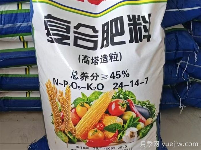 如何選擇和使用月季肥料？(圖1)