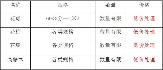 清地在即，部分造型月季品類月季價格短時間走低(圖1)
