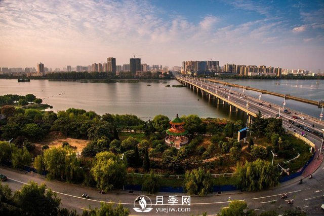 南陽50強(qiáng)企業(yè)名單：牧原食品第2，仲景宛西第8(圖1)