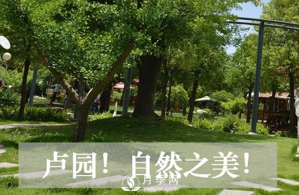 南陽盧園生態(tài)農業(yè)旅游景區(qū)(圖1)