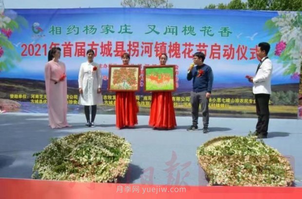 2021年首屆方城縣拐河鎮(zhèn)槐花節(jié)啟動(dòng)(圖1)