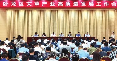 打造“中國艾草之鄉(xiāng)”，南陽市臥龍區(qū)引領艾草產業(yè)高質量發(fā)展(圖1)