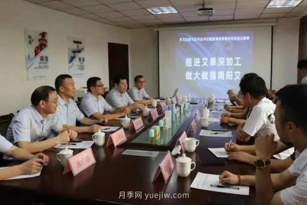 推進(jìn)艾草深加工，做大做強(qiáng)南陽(yáng)艾，主題座談會(huì)成功召開(kāi)(圖1)