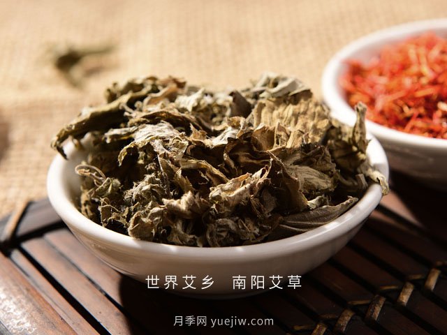 宛艾！南陽艾草產(chǎn)業(yè)志在出圈，怎借東風(fēng)成就世界艾鄉(xiāng)？(圖2)
