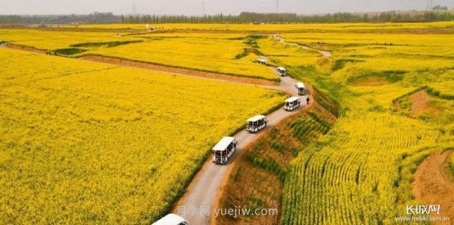 河北高質(zhì)量建設現(xiàn)代農(nóng)業(yè)產(chǎn)業(yè)園(圖3)