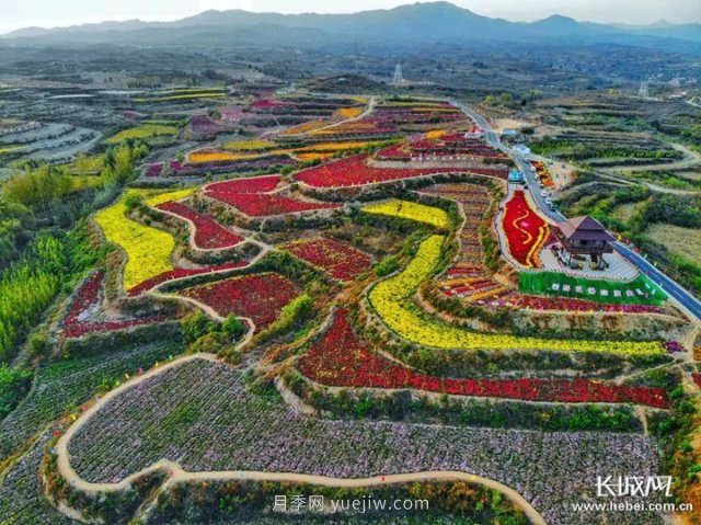 河北高質(zhì)量建設現(xiàn)代農(nóng)業(yè)產(chǎn)業(yè)園(圖2)