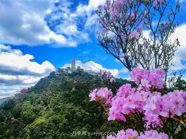 七月，邂逅大理雞足山極致風(fēng)光！(圖1)