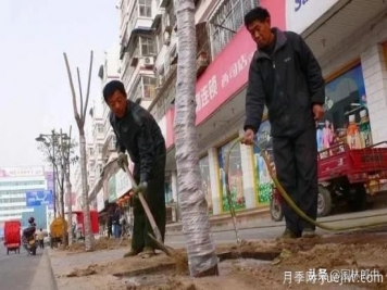 12月份園林養(yǎng)護如何做，才能給全年養(yǎng)護做個好結尾