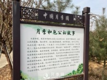 南陽中國月季園，包公和月季的故事
