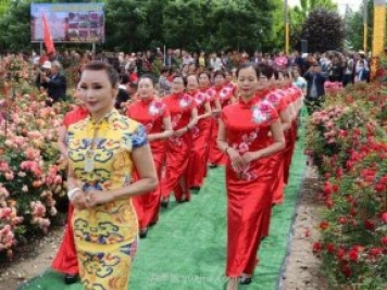 西安鄠邑區(qū)首屆月季花節(jié)開幕，爭奇斗艷迎賓客