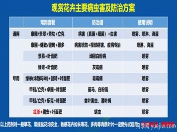 如何提高景觀花卉高發(fā)蟲害的防治效果？