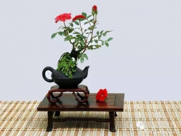 如何制作漂亮的月季盆景？藝術(shù)品來(lái)了