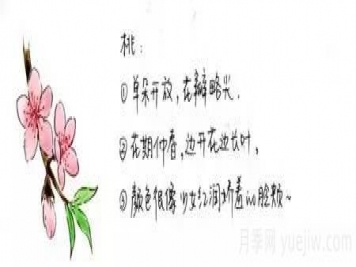 桃花，杏花，櫻花，梨花，李花，海棠花傻傻分不清？