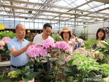 陜西省花卉產(chǎn)業(yè)創(chuàng)新發(fā)展論壇舉行，培育陜花地域品牌