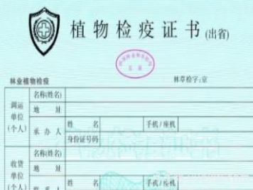 苗木三證一簽指的是什么？