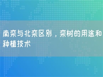 南欒與北欒區(qū)別，欒樹(shù)的用途和種植技術(shù) 
