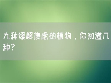九種緩解焦慮的植物，你知道幾種？