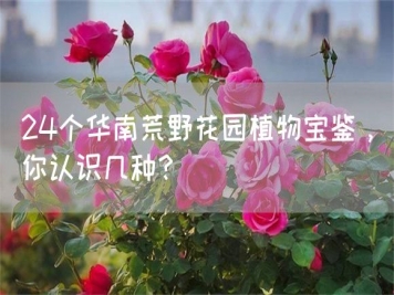24個(gè)華南荒野花園植物寶鑒，你認(rèn)識(shí)幾種？