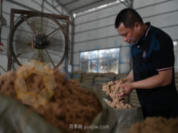 南陽(yáng)新一季艾草成熟了，90后顯現(xiàn)對(duì)艾制品購(gòu)買(mǎi)力