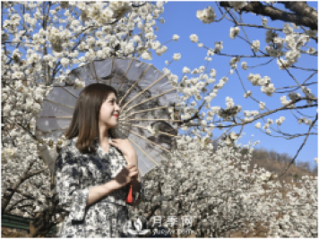 南陽驚蟄時(shí)節(jié)，花紅柳綠又一春
