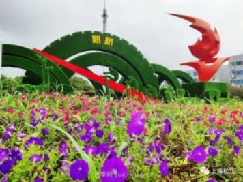 上海松江這里的花壇、花境“上新”啦！特色景觀升級！