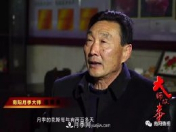 南陽月季大師——趙國強