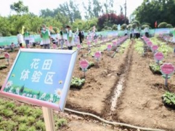 漯河城管園林科研所，邀請400余位市民花田體驗栽花